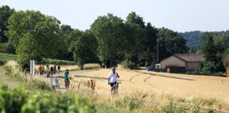 TransMâconnaise 2016: Une randonnée atypique La TransMâconnaise 2016 fait la part belle aux villages bucoliques et festifs.