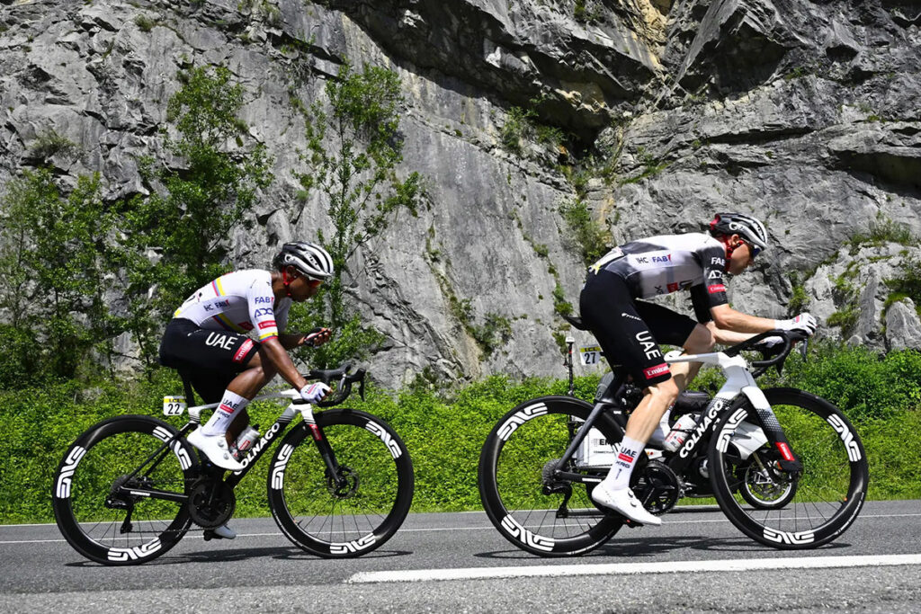 Colnago V5RS VS Colnago Y1RS