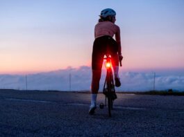 Garmin Varia RearVue 820